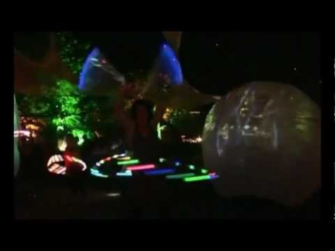 The LED Group Performance