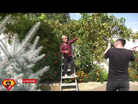 mister x humor 2022 - mos kris