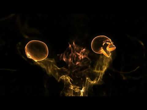 Sahil kumar Green scree...