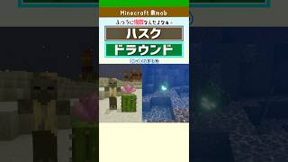 【マイクラ】ハスクとドラウンドの特徴まとめ！ゾンビとの違い
