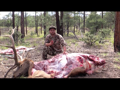 download lagu mp3 mp4 Beef Backstrap, download lagu Beef Backstrap gratis, unduh video klip Beef Backstrap
