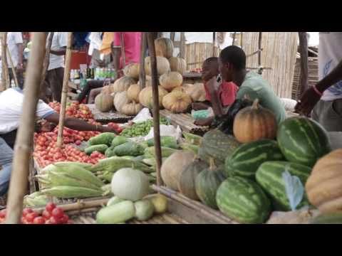 Avelino’s story: How to harvest hope in a changing climate