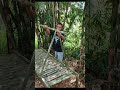 Solo Camping Membuat Shelter Bambu Tidur Nyenyak