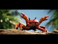 Taemin Famous Crab Dance Taemin Famous Crab Dance