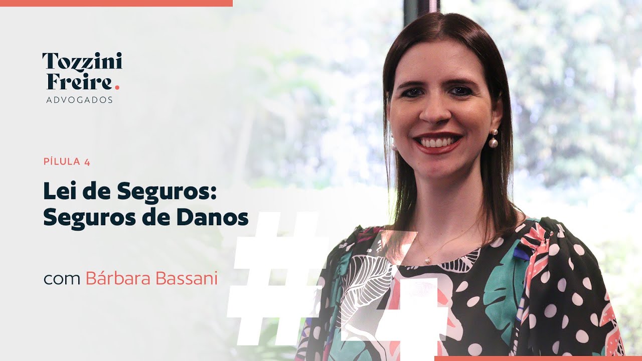 Lei de Seguros: Seguros de Danos