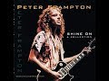 Peter Frampton - Theme From Nivram