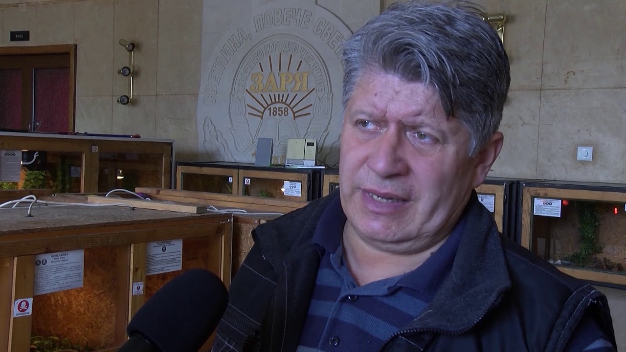 Представят местни видове змии в изложба на екзотични животни 