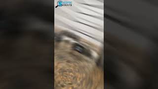 What sound does a hidden camera make? #gadgets #speaker #clock ⏰ #fyp