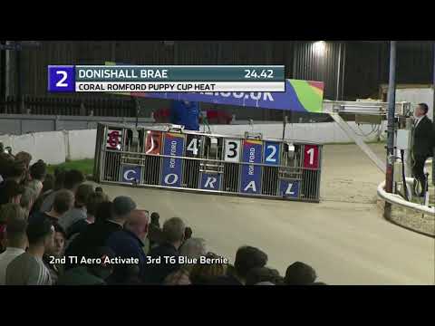 2021 ROMFORD PUPPY CUP - HEAT 6 - T2 DONISHALL BRAE