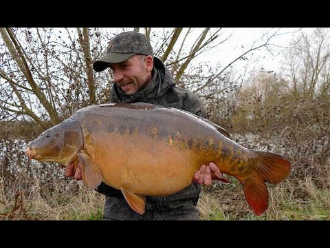 Return to Spitfire Pool