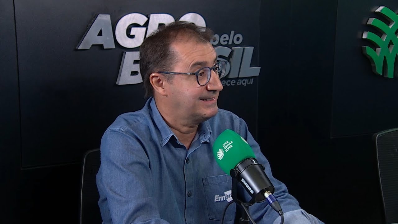 Carne de baixo carbono: Embrapa explica certificação e sustentabilidade