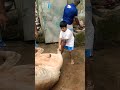 Cow Cutting Qurbanistatus Cow Eiduladha Cutebaby Shorts Vairal Youtubeshorts Shortsfeed