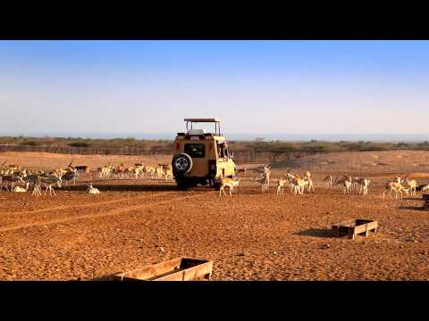 Desert Islands Resort & Spa by Anantara - Revel in royal luxury.