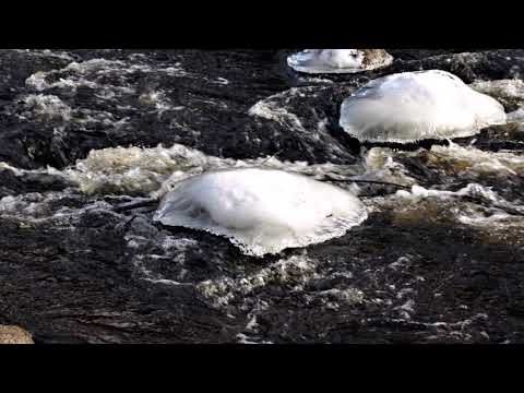 # Kari Tapio ja Paula Koivuniemi - Mississippi