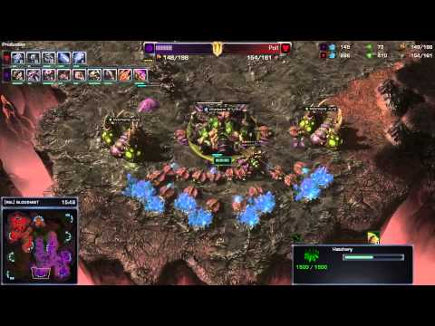 Scarlett vs. Polt Game 1 - Ritmix RSL