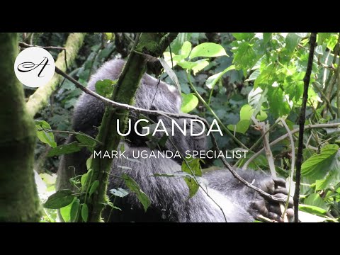 My travels in Uganda
