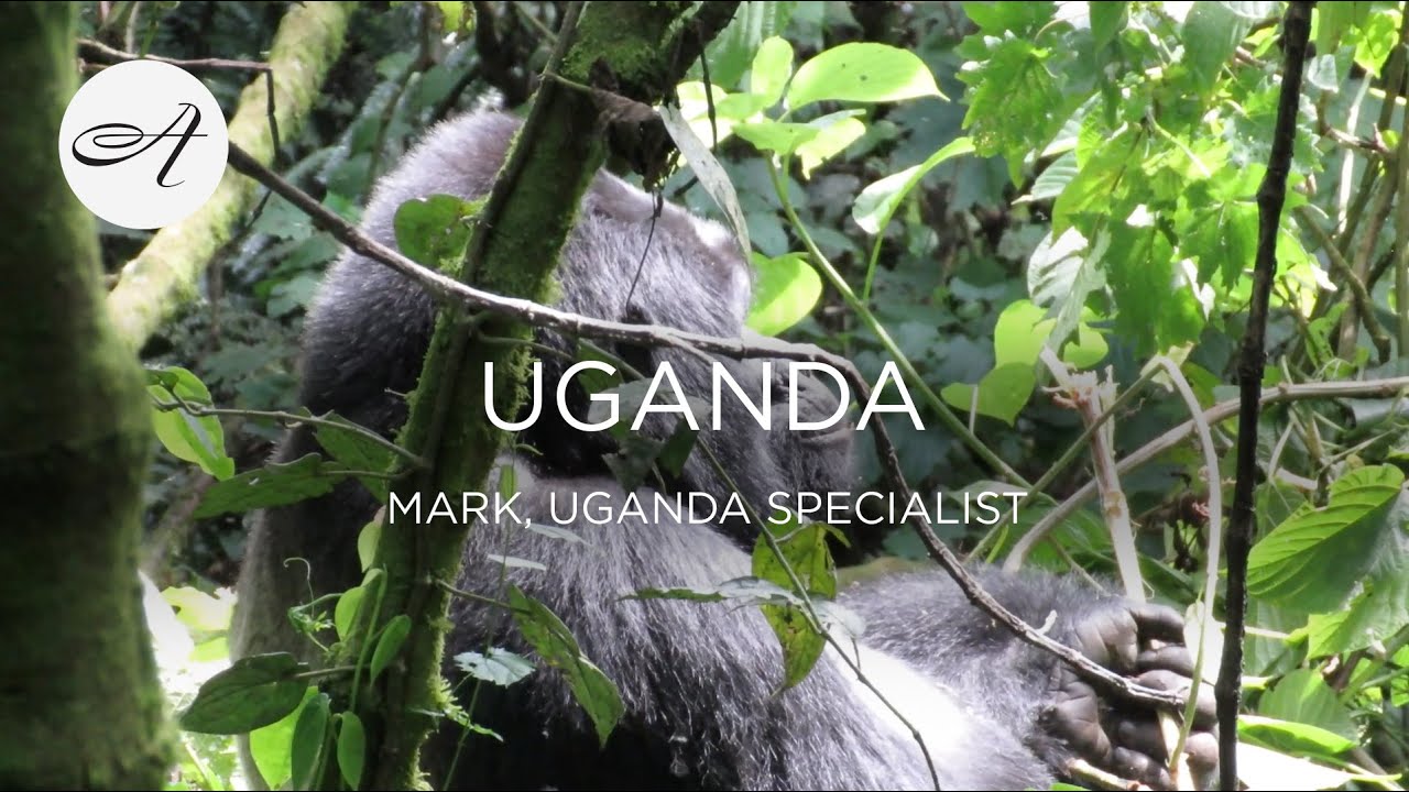 My travels in Uganda