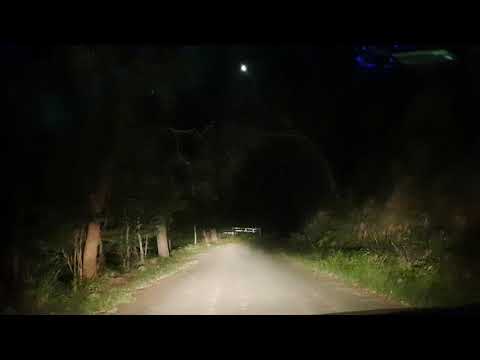 ASMR Story telling / Driving through the Bushes/ Night time story