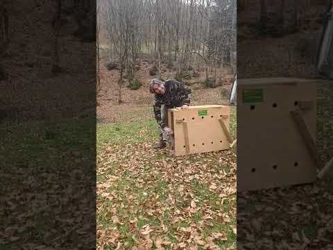 La liberazione di uno dei caprioli a Scarperia e San Piero