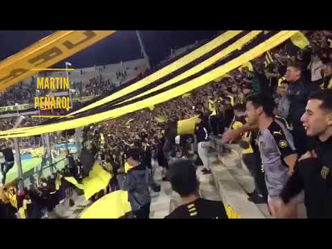 "â€œSeñores dejó todo me voy a ver al Manyaâ€ - Hinchada de Peñarol (vs C. Largo)" Barra: Barra Amsterdam &bull; Club: Peñarol