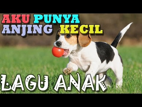 download lagu mp3 mp4 Download Lagu Anak Anak Anjing Kecil, download lagu Download Lagu Anak Anak Anjing Kecil gratis, unduh video klip Download Lagu Anak Anak Anjing Kecil