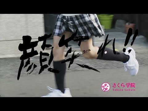 Ganbare - Sakura Gakuin