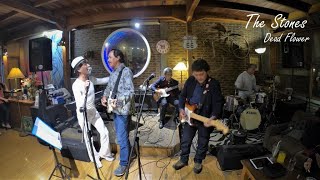 THE STONES - Dead Flower