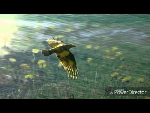 This time alone with you ( Bad english )