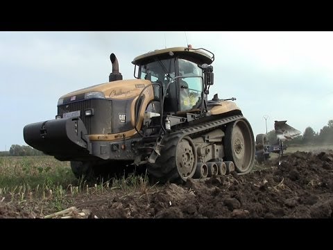 Effetto sulla potenza antibiotici Pillole per migliorare la potenza a Lugansk