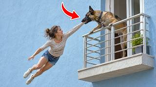 Heroic Dogs Who Saved Human Lives