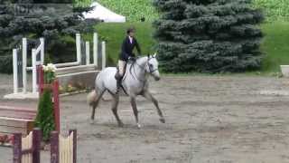 preview picture of video 'Celebrity and Emily Caikoski State College Series Horse Show 2013'