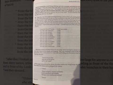 Revelation 7 | New Covenant | Audio Bible | CJB | Complete Jewish Bible