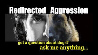 Redirected Aggression in Dogs- ask me anything - Dog Training and Behavior