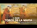 Toros de La Mafia - Lupillo Rivera