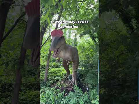 How to Visit the Bronx Zoo for FREE 🦁 #bronxzoo