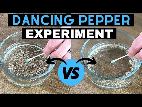 Pepper and Water Experiment | Soap and Pepper Trick