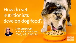 Nom Nom How Do Vet Nutritionists Develop Dog Food?