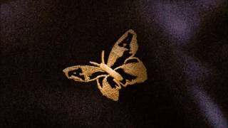 The Avalanches   If I Was a Folkstar HD