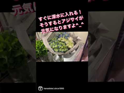 アジサイを元気にするにはどうすればいいですか？元気を出すための4つのヒント  庭園