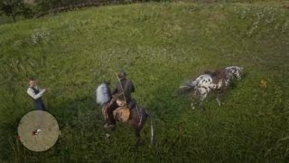 Red Dead Redemption 2 i took 3 horse 2 the horse fence to see how much they pay #Horsefence
