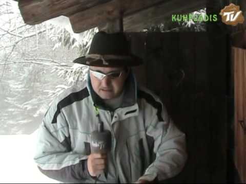 kuhfladis Nr 1/2009 on worldtour