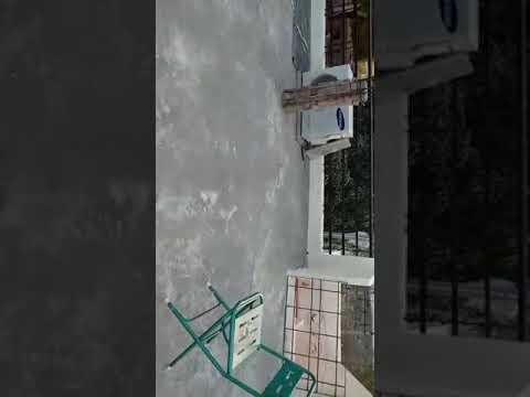 $$Dog Blacky showing trained...how to sitting on the chair