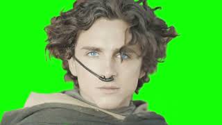 Paul Atreides reacts to explosion Dune Part Two green screen