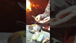 Wild Chicken of the Woods 🍄 | Ontario Camping & Cooking Adventure