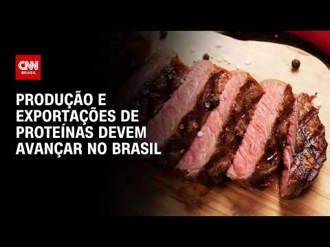 ABPA prevê avanço da produção e exportações de proteínas no Brasil | CNN AGRO NEWS