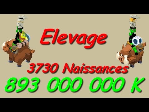 comment gagner des kamas avec l'elevage