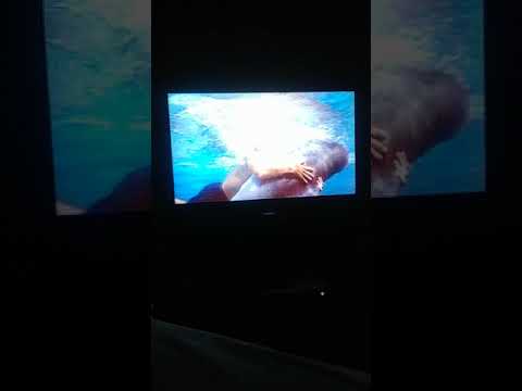 Flipper's New Adventure Intro