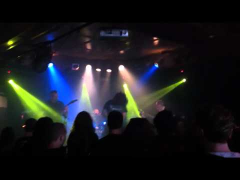 Primordial Space - Shapeshifter Live Sonic Forge 2011