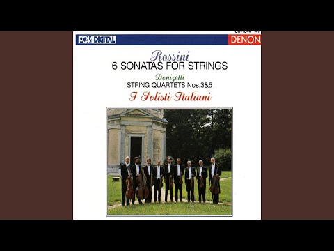 String Sonata No. 6 in D Major: I. Allegro - spiritoso