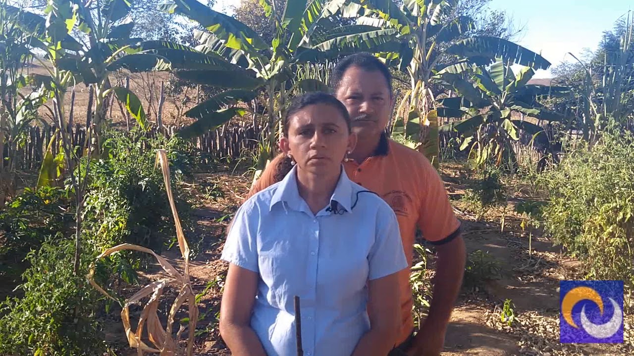 Sistema de Tratamento e Reúso de Águas Cinzas Para a Produção de Alimentos